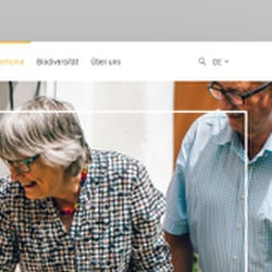 Responsive Website