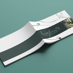 Skygrafiks 5