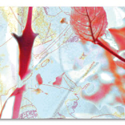 digitale Collage > ocean