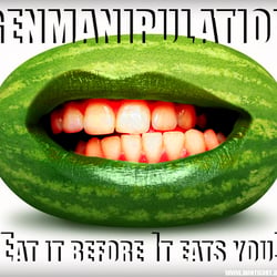 genmanipulation