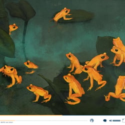 Goldkröten Screenshot, Web-Dok Frogs & Friends e.V