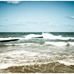 Landscapes