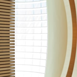 Calatrava RWI – Zürich