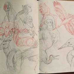 IMG 0749