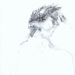 Uhu 01