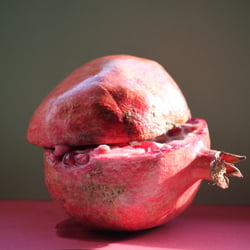 Granatapfel November 2012