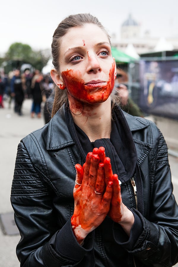 Domestic extremist