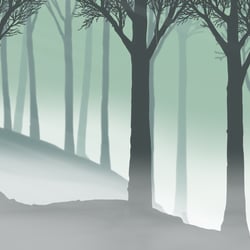Aufklaren im Wald nach dem Regen