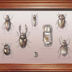 “BEETLE” Komposition – Graphit, Buntstift, Aquarell