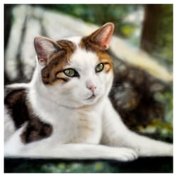 Airbrush – Katzenportrait – Auftragsarbeit