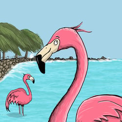 Flamingo Beach