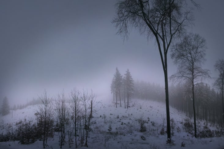 Winter im Harz