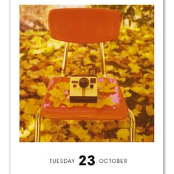 Poladarium 2012