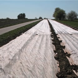 Feld mit Abdeckplanen 7061Ak