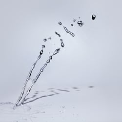 Splashes – Portraithaus Worms