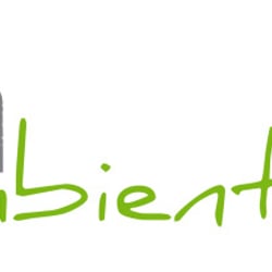 Logo Design . Betonambiente