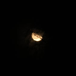 The Moon 2013 by Dina. T