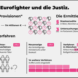 Infografik NEOS-Partei