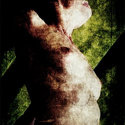 Torso 6107