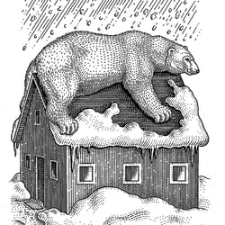 Eisbär-Wärmedämmung