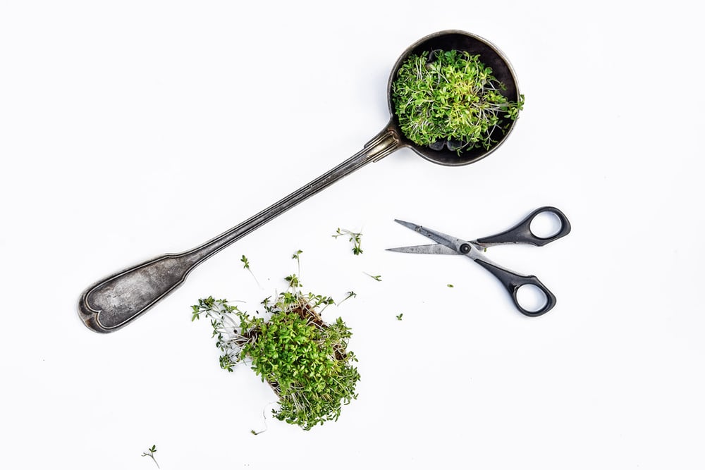 Foodfotografie