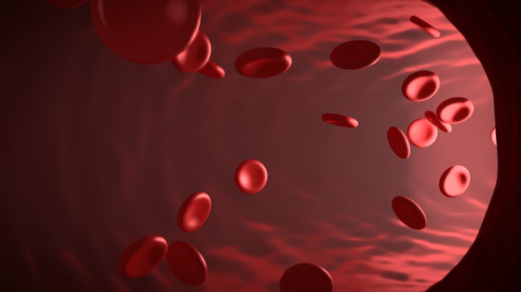 Blood Cells