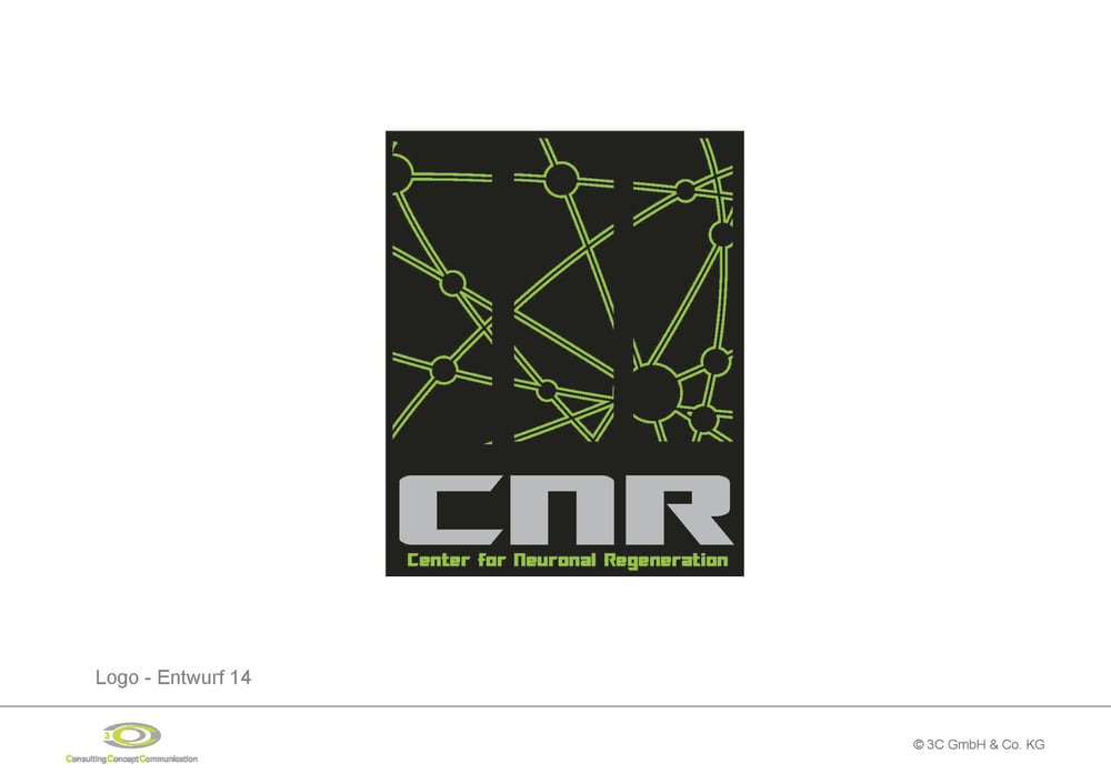 CNR Präsentation Logos wg 20090317 Seite 8