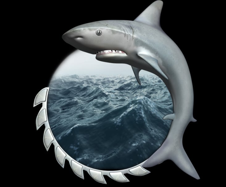 Shark_Big