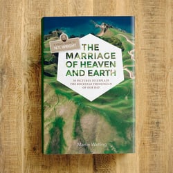 Buchcover Gestaltung