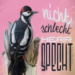 15-Insta-Specht