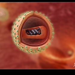 Virus