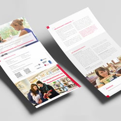 Faltblatt mentoring absolvent