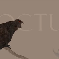 Noctua