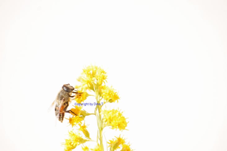 Nature 2014 – Foto Übung