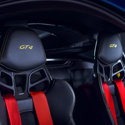 Porsche 15