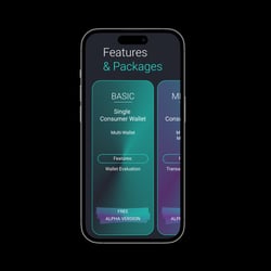 Mobile Website QUANTY Web Design