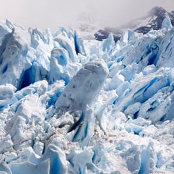 Patagonia Exposition 1