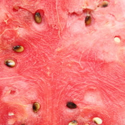 Food Photography 2012  Melone