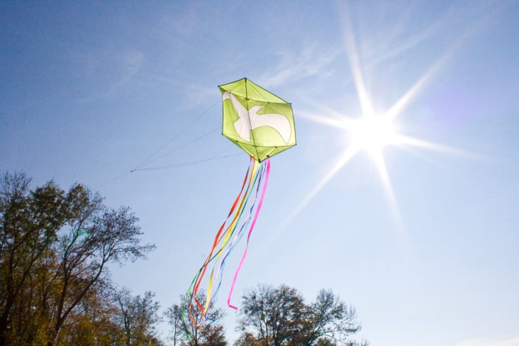 GREENPEACE – Einleiner Drache