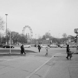 Vienna Analog