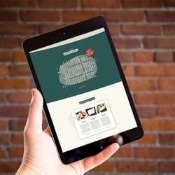Website [Laik•ju] Home – Ausschnitt „Unsere Werte“ und „Referenzen“