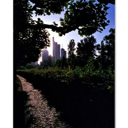 WS-001−050 / C-41 Film