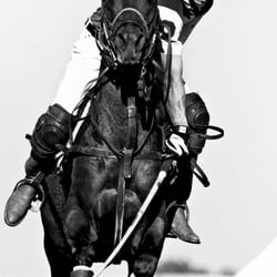POLO_008
