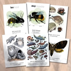 Biologische Illustraionen