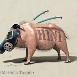 Schweinegrippe-H1N1-A