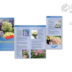 BLUME2000, Kompetenzflyer mit Kundeninfos zum Produkt