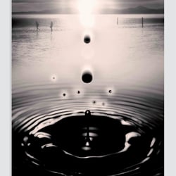 Planfisch-Kalender 2017