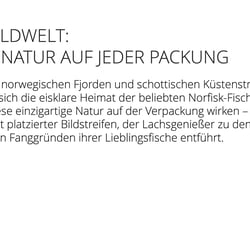 Die Bildwelt