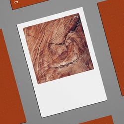 Schreinerei Lienin – Print Design