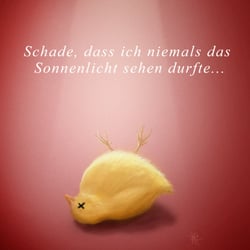 Sonnenlicht